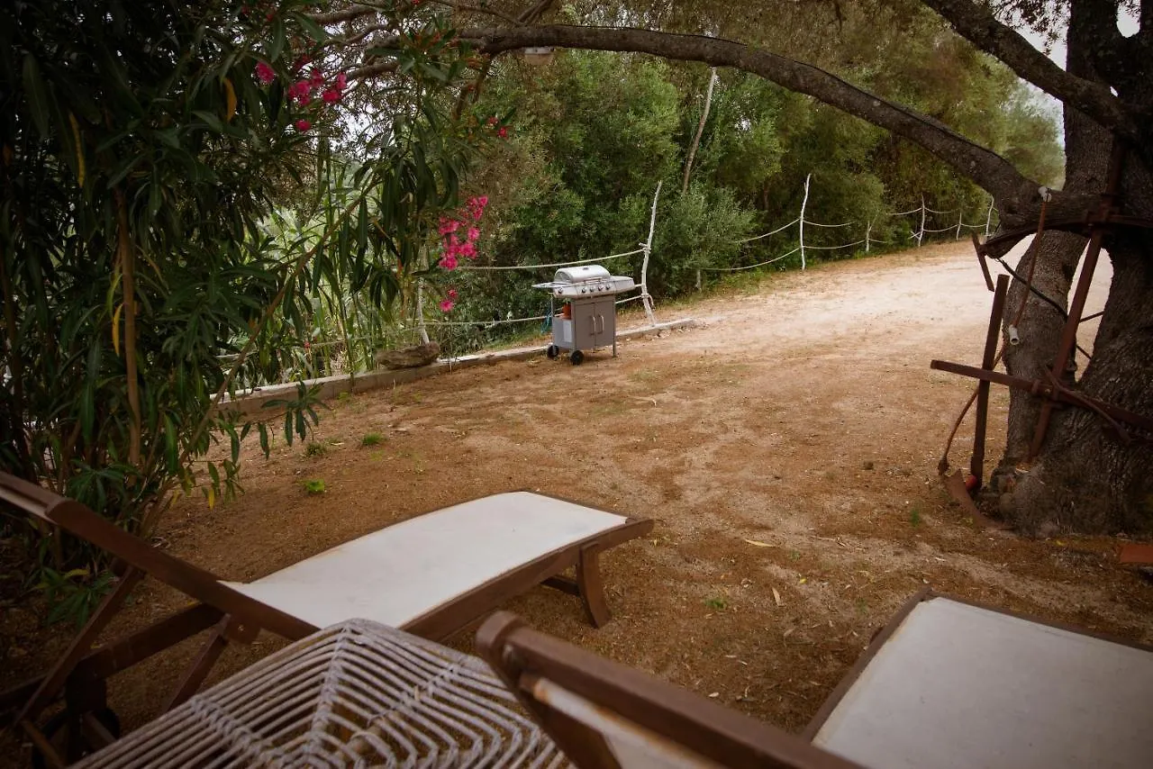 Holiday home Villa Bouganville Barrabisa Italy